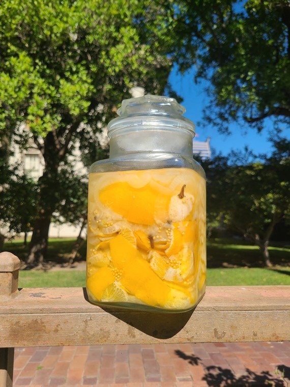 Leland Stanford Mansion SHP (lemon pickle jar)