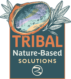 California Tribal Nature-Based Solutions Logo