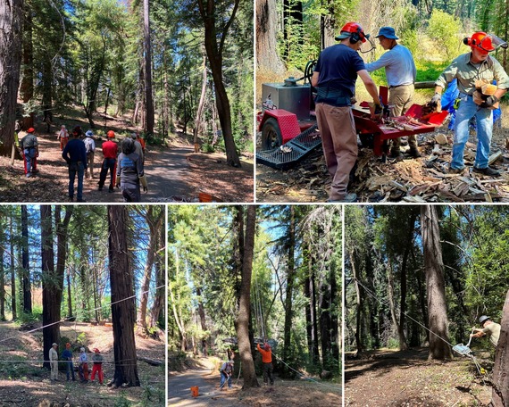 Austin Creek SRA_Trail cleanup collage 1