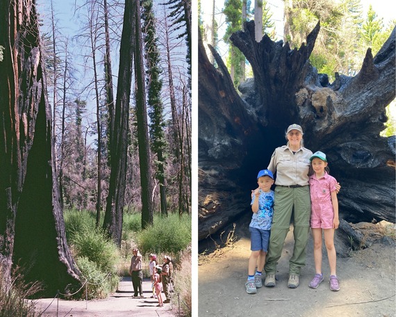 Santa Cruz Jr Ranger Collage