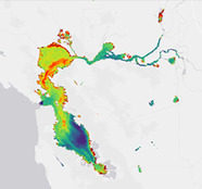 Map of San Francisco Estuary showing different levels of chlorophyll concentrations