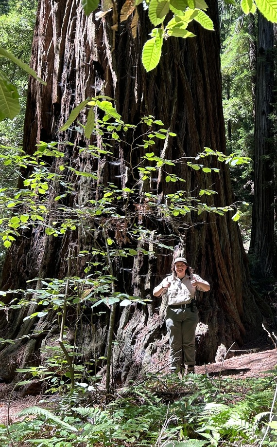 Portola Redwoods State Park