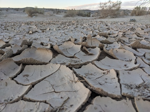 Ocotillo Wells SVRA_post storm desert scales