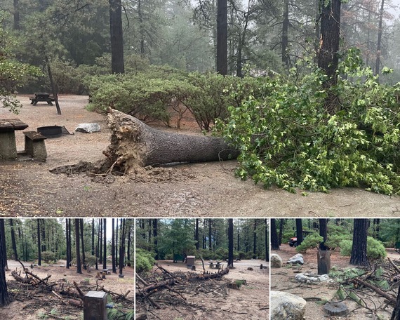 Mount San Jacinto SP_storm damage collage 