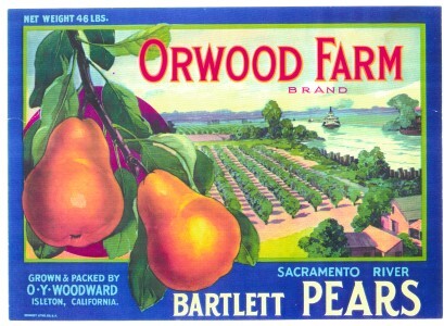 Vintage Orwood Farm (Isleton) Bartlett pear label 