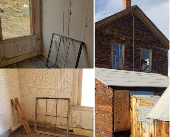 Bodie SHP (collage 1)