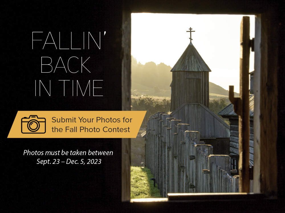 FallinBackInTime_PhotoContest_V1