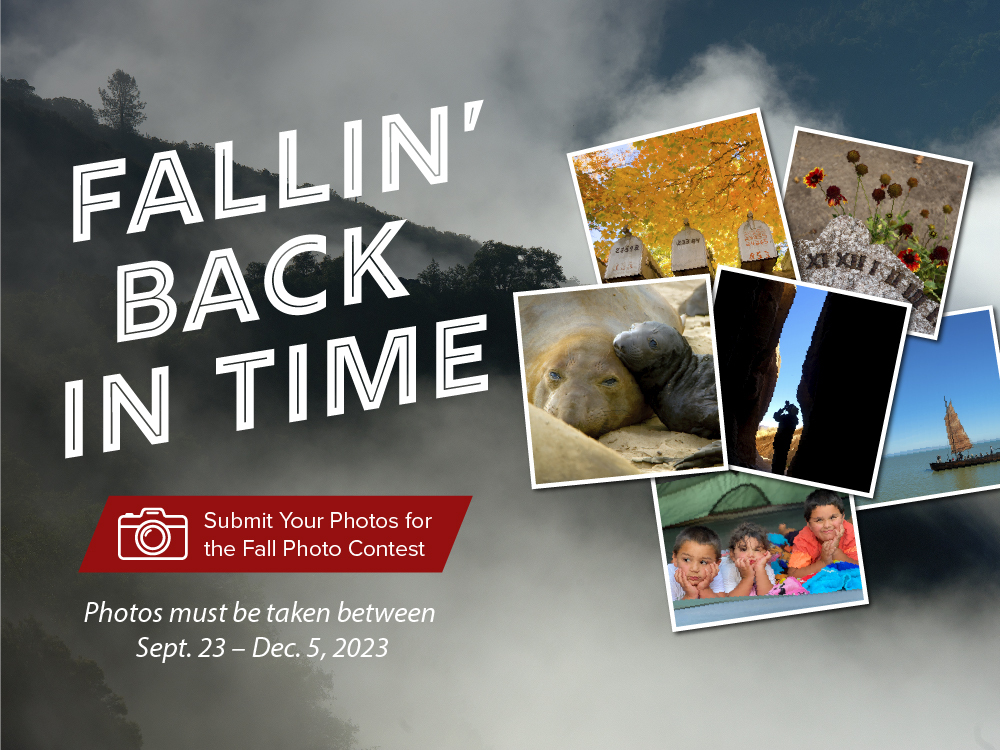 FallinBackInTime_PhotoContest_V7