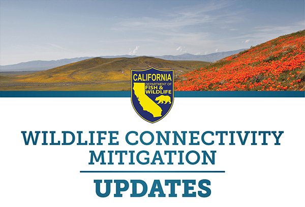 hills and mountains with orange flowers in foreground and CDFW logo and Wildlife Connectivity Mitigation Updates at bottom