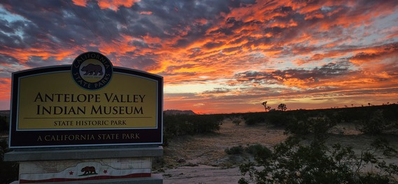 Antelope Valley Indian Museum State Historic Park (joshua tress and sunlight)