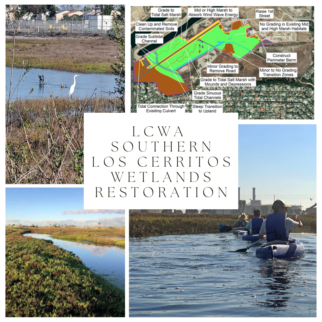 Los Cerritos Wetlands Collage