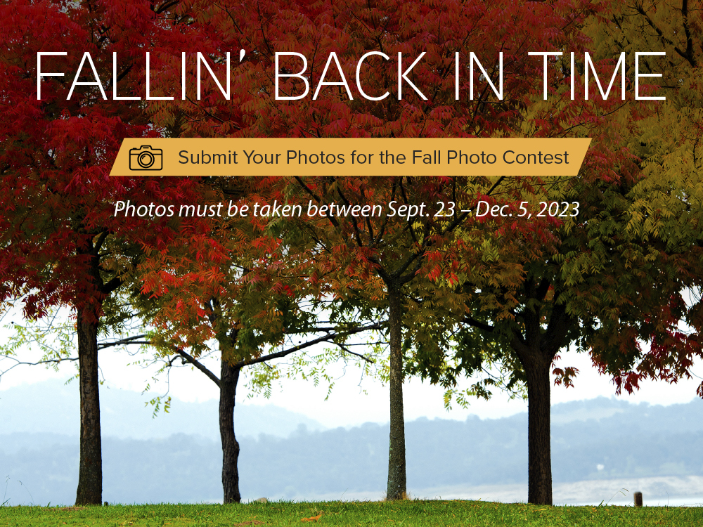 Fallin Back in Time_graphic 2