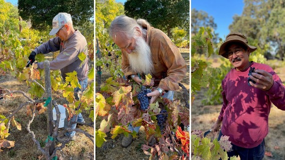 Sonoma SHP volunteers collage