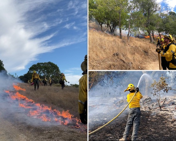 China Camp SP (prescribed burn collage)