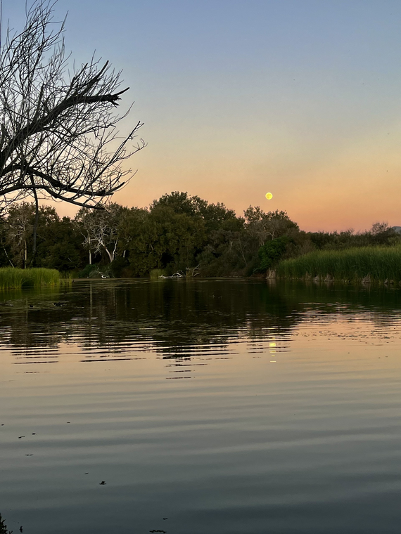 San Onofre SB (Trestles Nature Preserve)