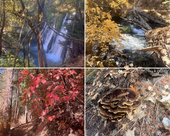 McArthur-Burney Falls MSP Fall colors collage