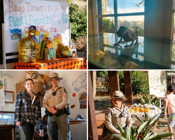 Point Mugu SP (Halloween collage 2)