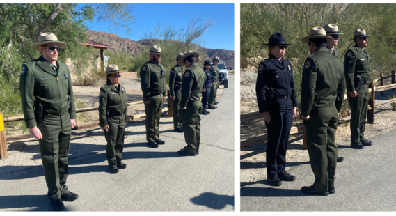 Ocotillo Wells District collage