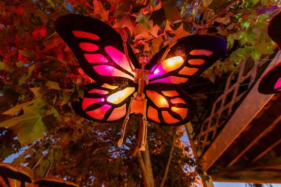 Old Town SD SHP (skeleton monarch butterfly)