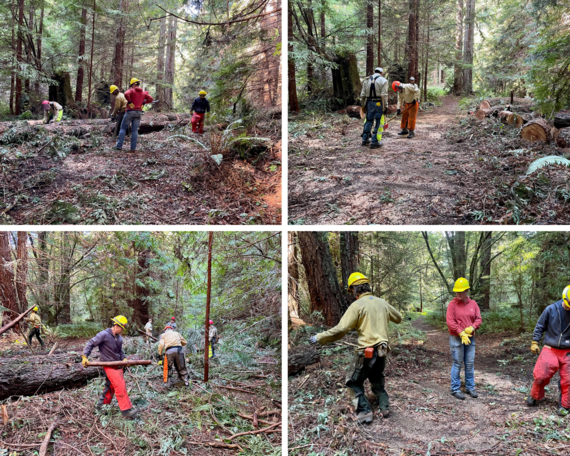 Sonoma Coast SP_Willow Creek trail Crew collage