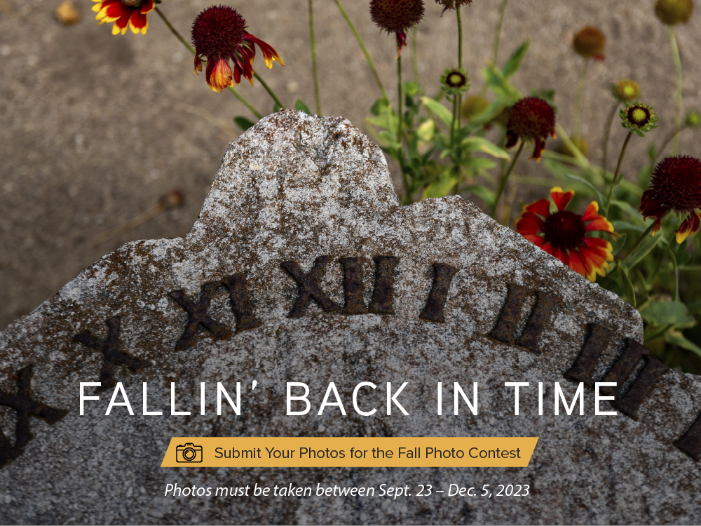 Fallin' Back in Time Graphic 3