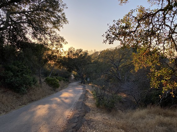 Mount Diablo SP (sunset)