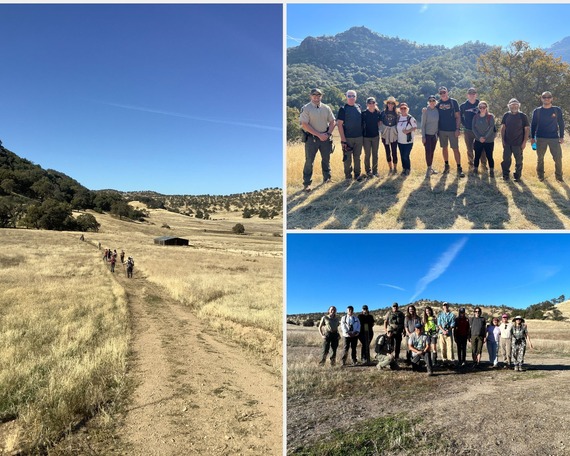 Sutter Buttes SP (swan festival collage)