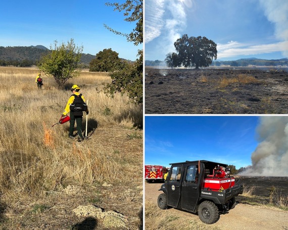 Anderson Marsh SHP (prescribed burn collage)