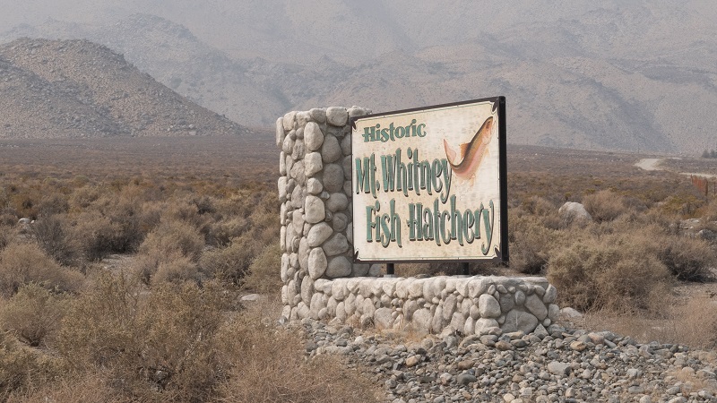 A Mt. Whitney Fish Hatchery sign greets visitors to the hatchery.
