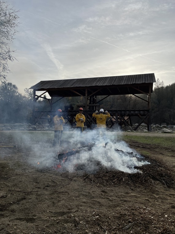 Marshall Gold SHP_prescribed burn