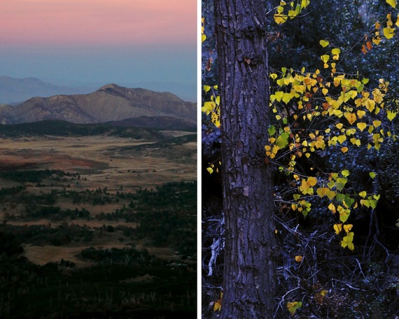 Cuyamaca Rancho SP_collage
