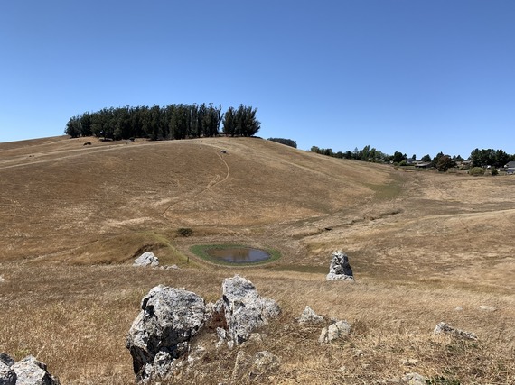 Landscape with vernal pool