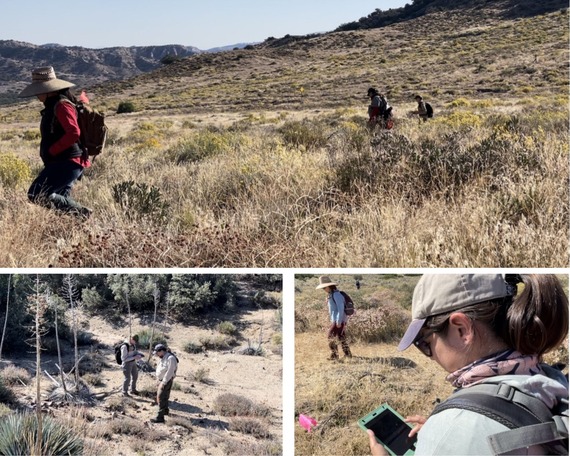 Hungry Valley Survey