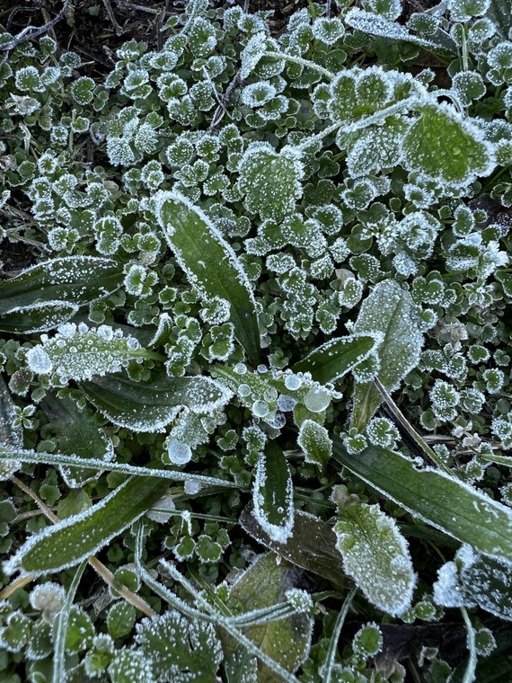 South Yuba River State Park
