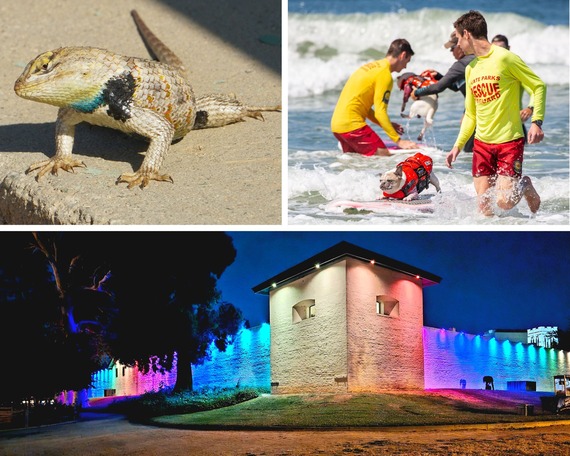 Top photos collage April to June 2023