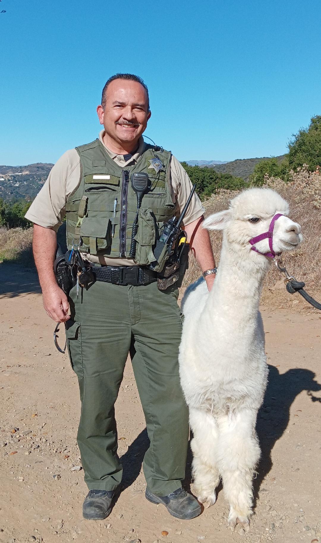 Topanga SP (Alpaca)