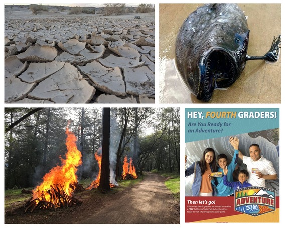 Top stories 2023 collage 2