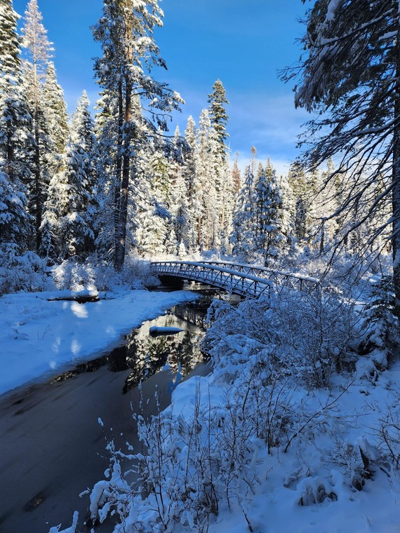 Ed Z'berg Sugar Pine Point SP_ski trail 