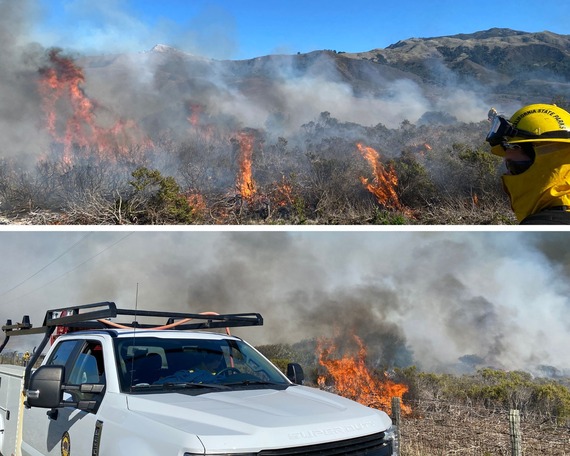 Andrew Molera SP_prescribed burn collage