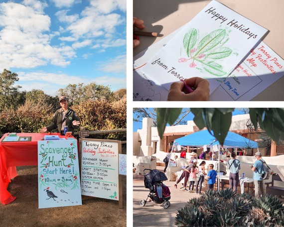 Torrey Pines State Natural Reserve