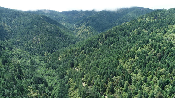 Photo of Hoopa Valley Tribe land courtesy of the Conservation Fund.