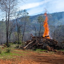 A pile of vegetation burns in the Loafer Creek Recreation Area as part of fuel load reduction and wildfire prevention efforts. 