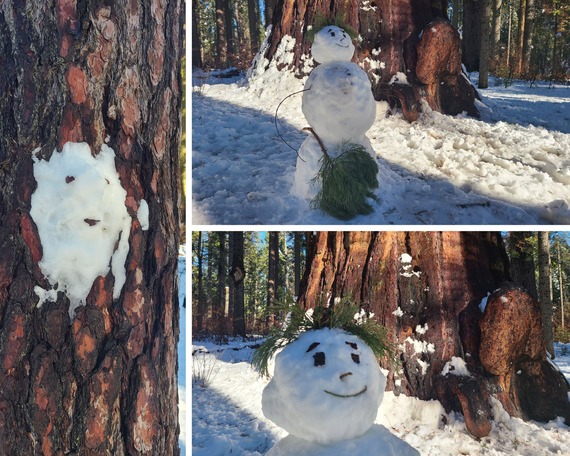 Calaveras Big Trees SP_snowmen by park visitors