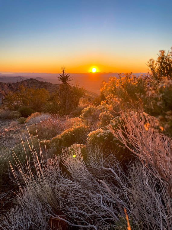 ProvidenceMountainsSRA_CampgroundSunrise