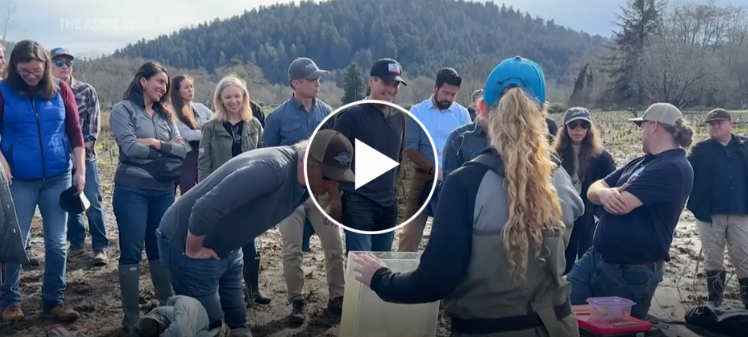 Group looks on at salmon restoration projects.