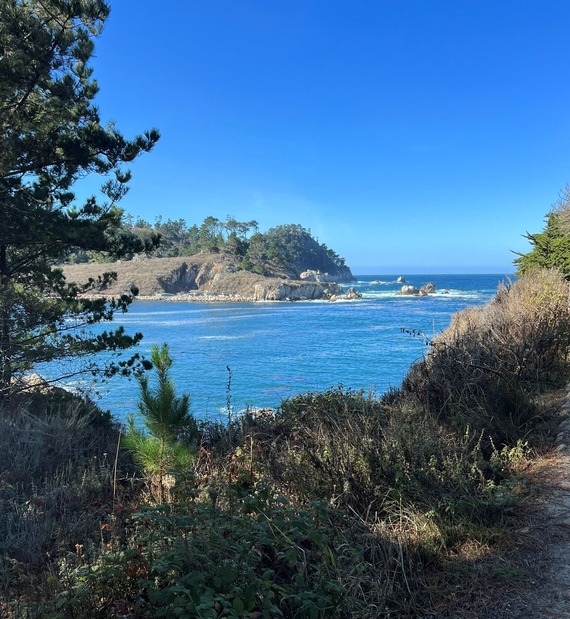 Point Lobos SNR_landscape (cropped)