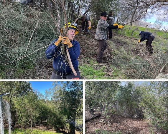 Lake Oroville SRA (Doom Broom collage)