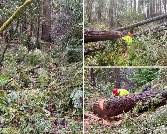 SCR trail crew report (collage)