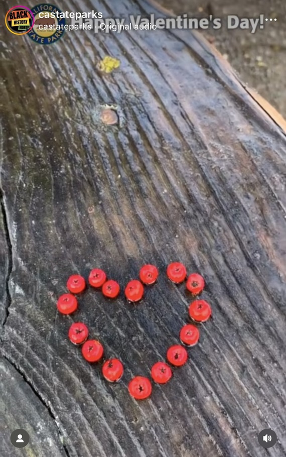 Valentine's Day SP Instagram screenshot