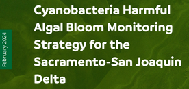 Partial report cover of draft strategy for monitoring harmful algal blooms